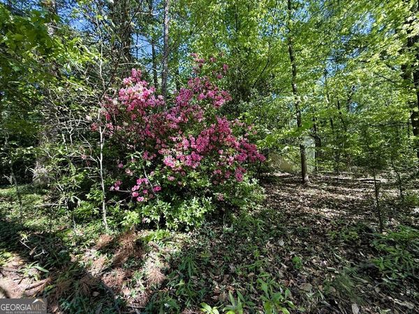 4655 Hwy 29, Royston, GA 30662