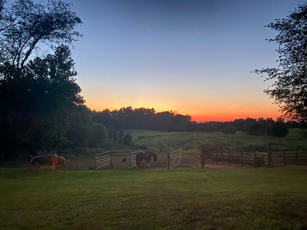 6180 Crawford Store Rd , Springfield, TN 37172