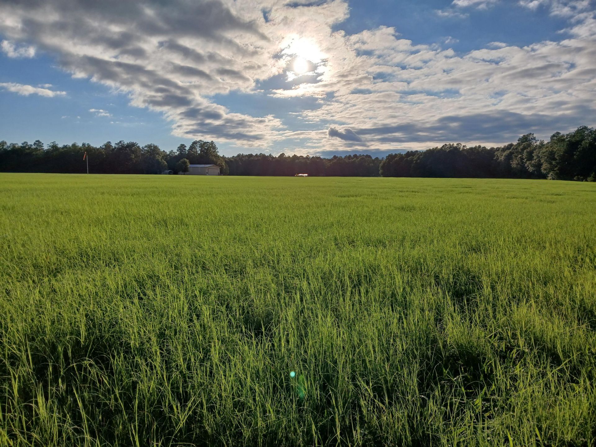 5095 Fellowship Road Photo 10