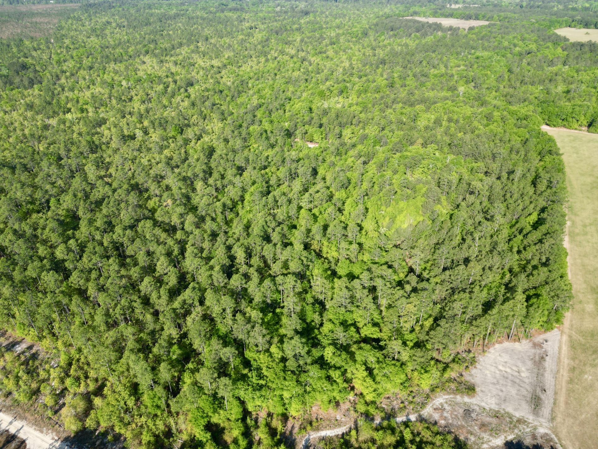 5095 Fellowship Road Photo 16