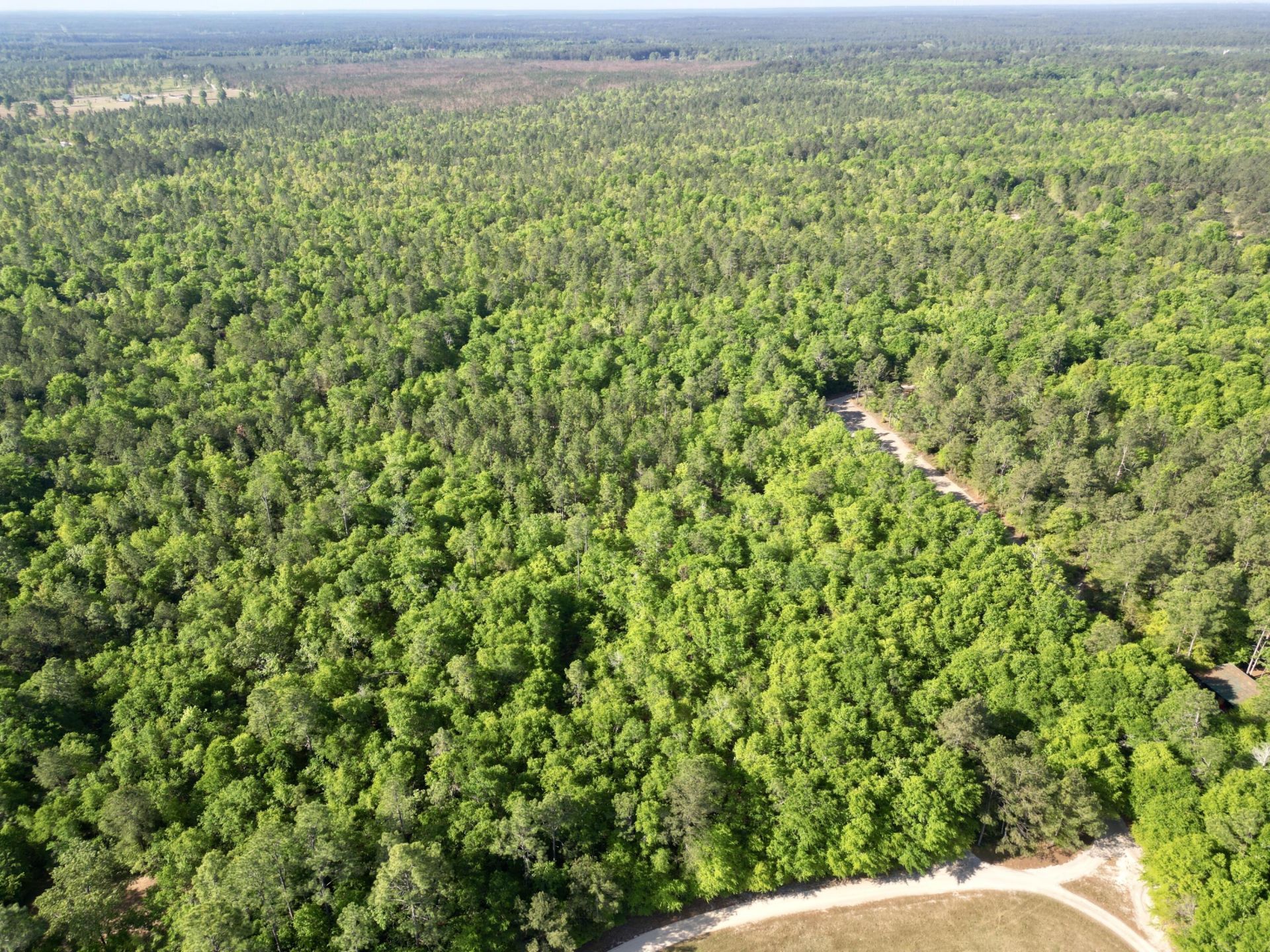 5095 Fellowship Road Photo 19