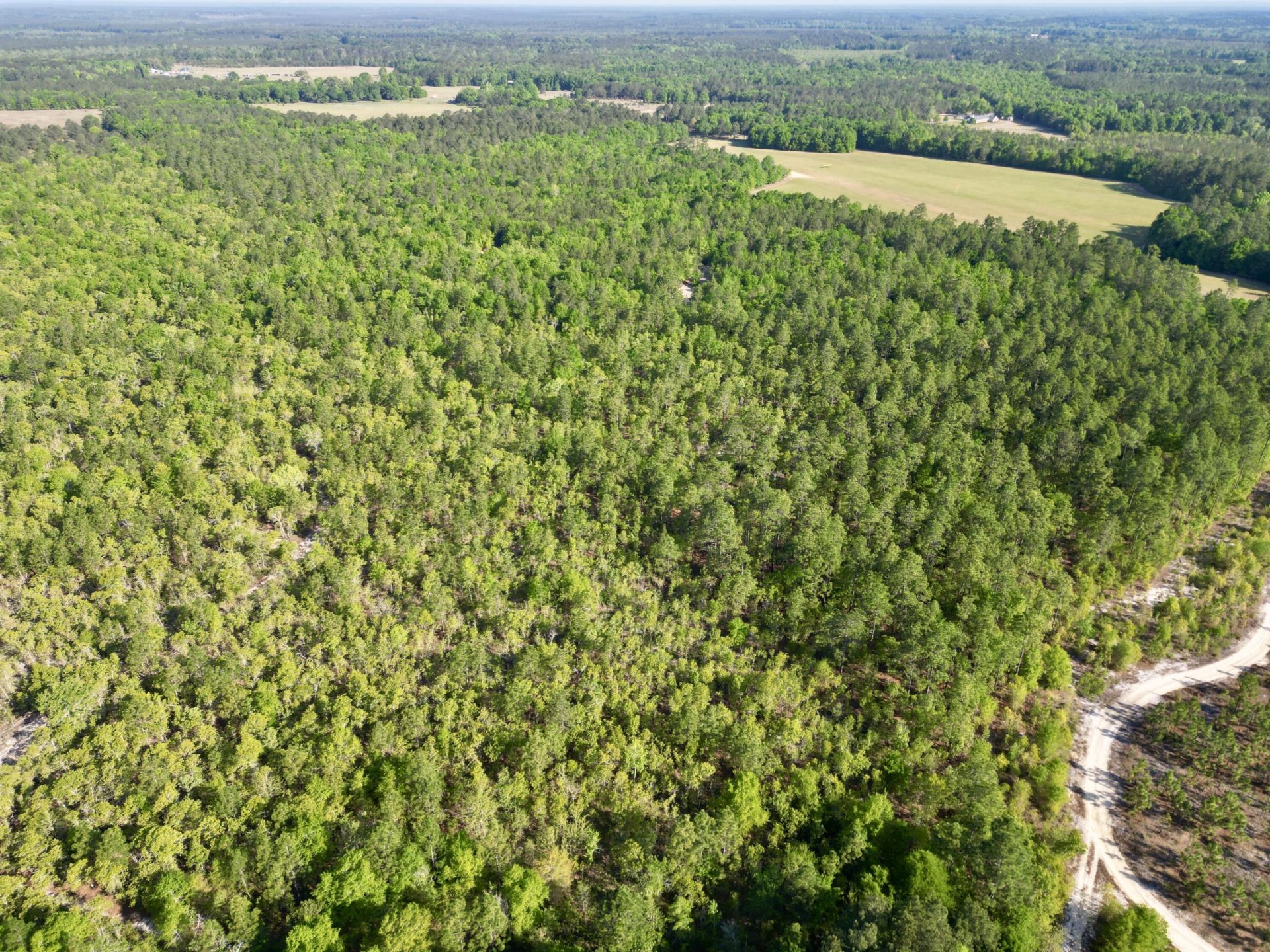 5095 Fellowship Road Photo 22