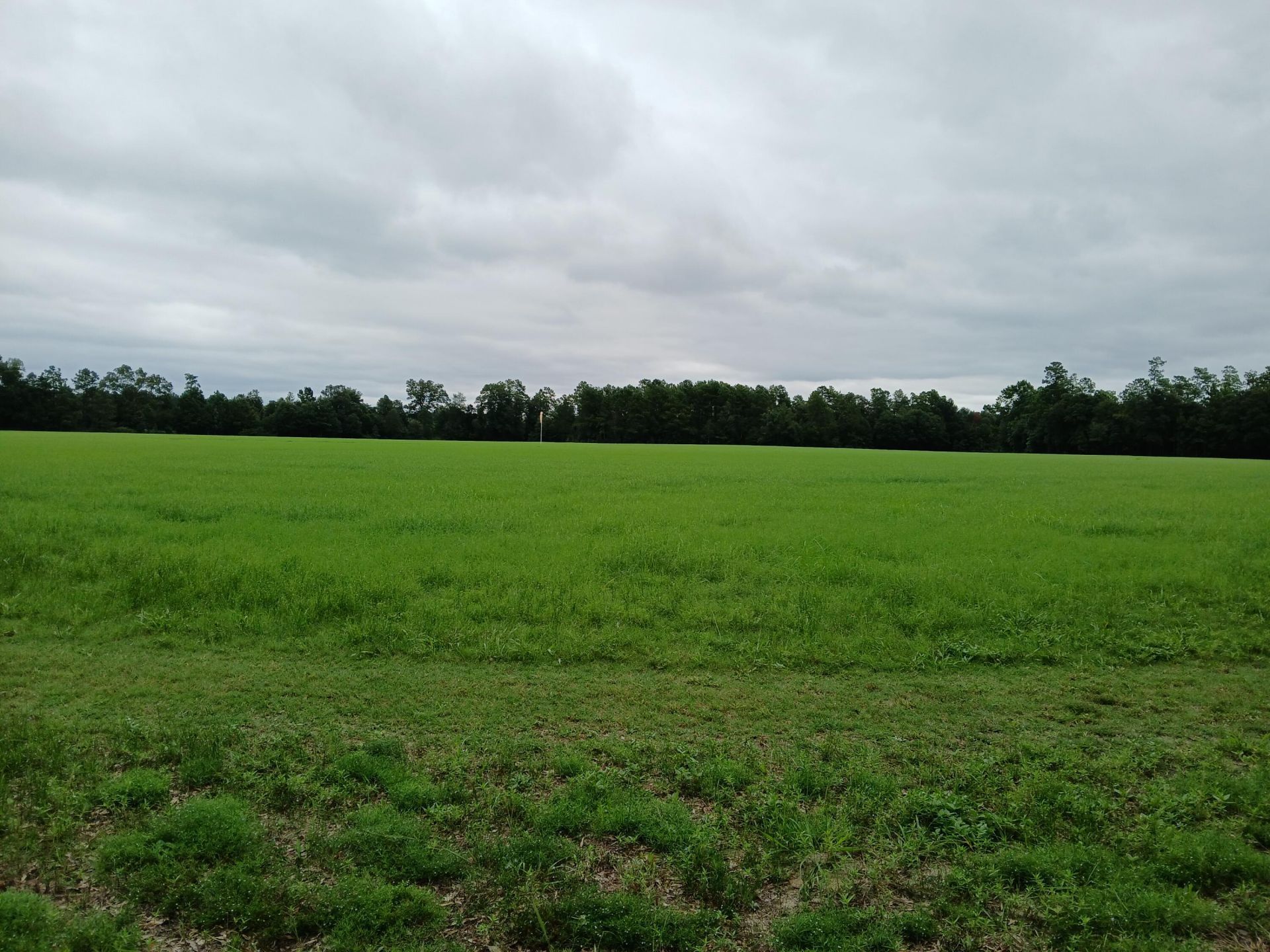 5095 Fellowship Road Photo 26