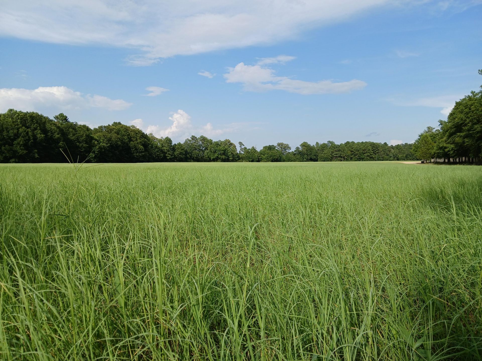 5095 Fellowship Road Photo 35