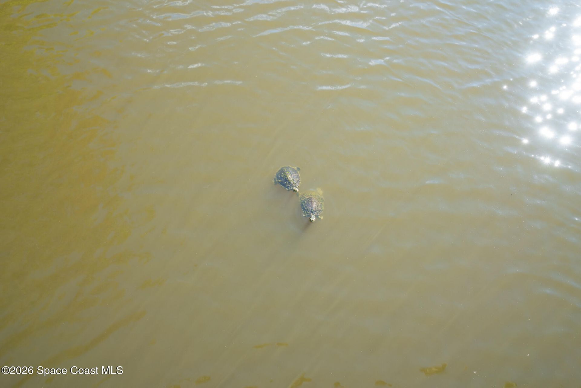 3786 Sierra Drive , Merritt Island, FL 32953 Photo