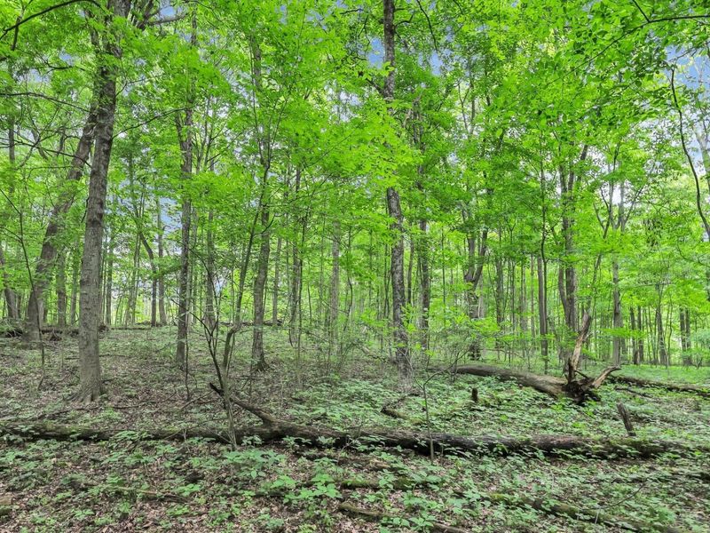 6903 Watkins Road SW, Pataskala, OH 43062 Photo 46