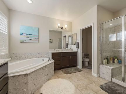 712 N Pergola Ct, Mountain House, CA 95391 Photo