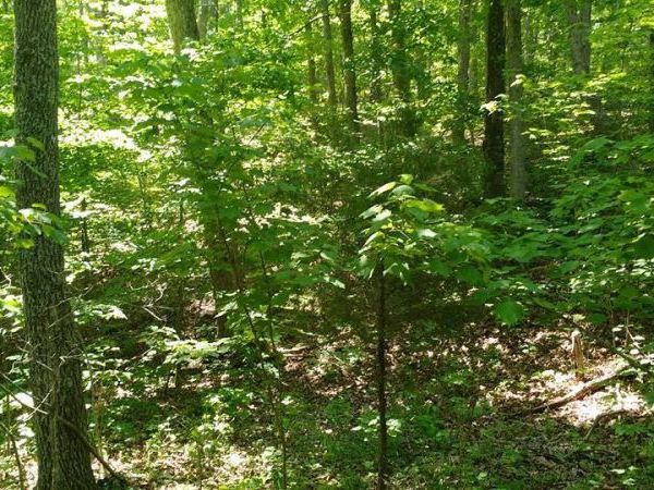 Lot #9 Lake Way , Winona, MO 65588