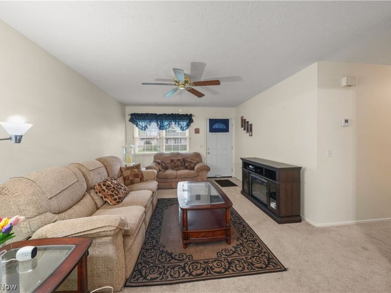 9841 Green Drive, Windham, OH 44288 Photo 14