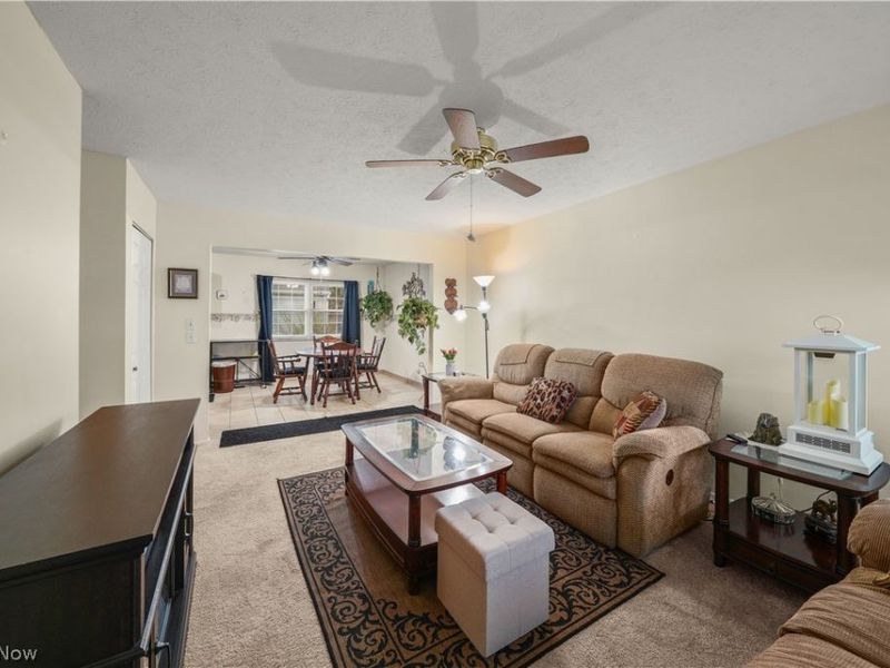 9841 Green Drive, Windham, OH 44288 Photo 15