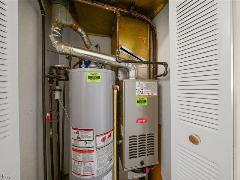 9841 Green Drive, Windham, OH 44288 Photo 17