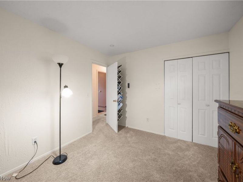 9841 Green Drive, Windham, OH 44288 Photo 22