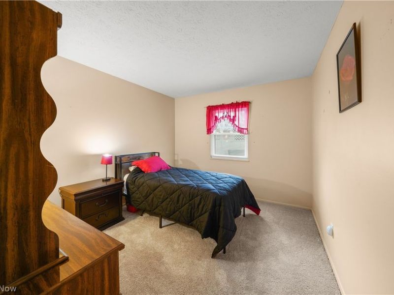 9841 Green Drive, Windham, OH 44288 Photo 23