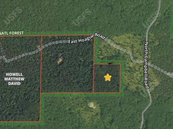 V/L E Hoague Road, Free Soil, MI 49411