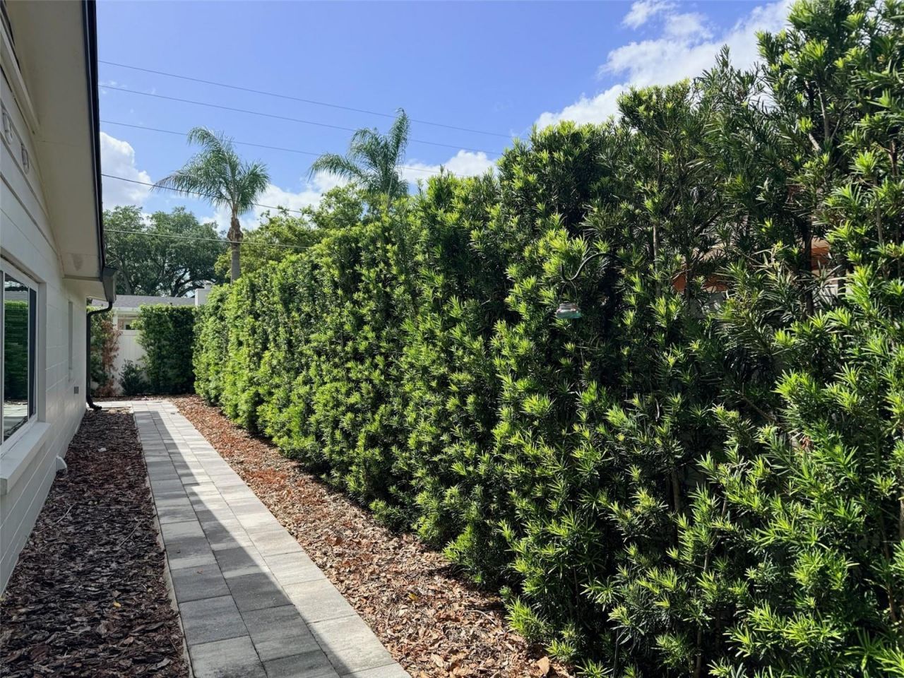 921 N Thistle Lane, Maitland, FL 32751 Photo