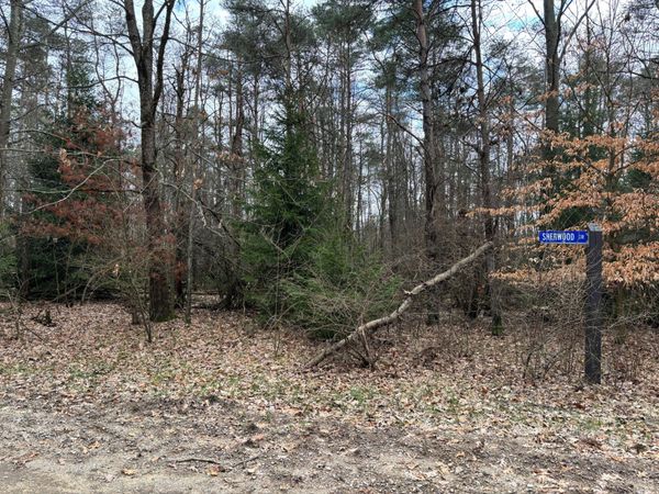 10181 Sherwood Circle, Unit #33, Canadian Lakes, MI 49346