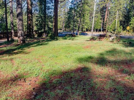 7380 Wentworth Springs Rd, Georgetown, CA 95634 Photo