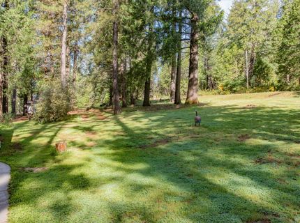 7380 Wentworth Springs Rd, Georgetown, CA 95634 Photo