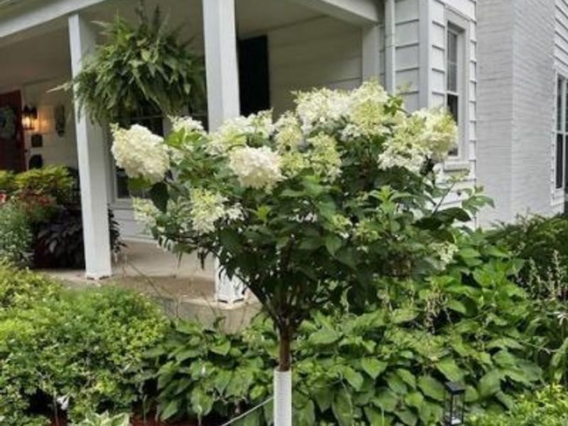 3945 Lenox Drive, Kettering, OH 45429 Photo 43