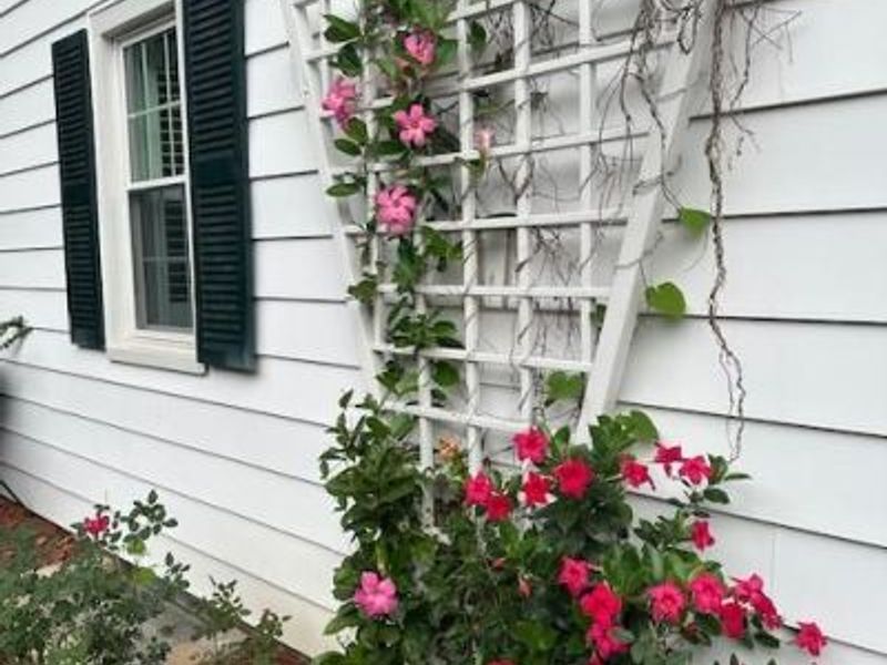 3945 Lenox Drive, Kettering, OH 45429 Photo 44