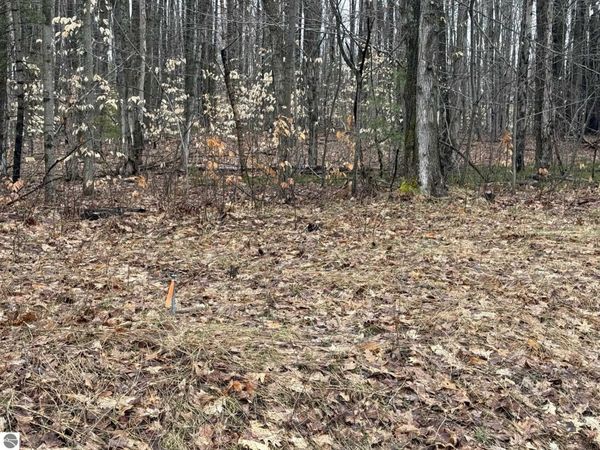 Vandermeulen Road N, Lake City, MI 49651