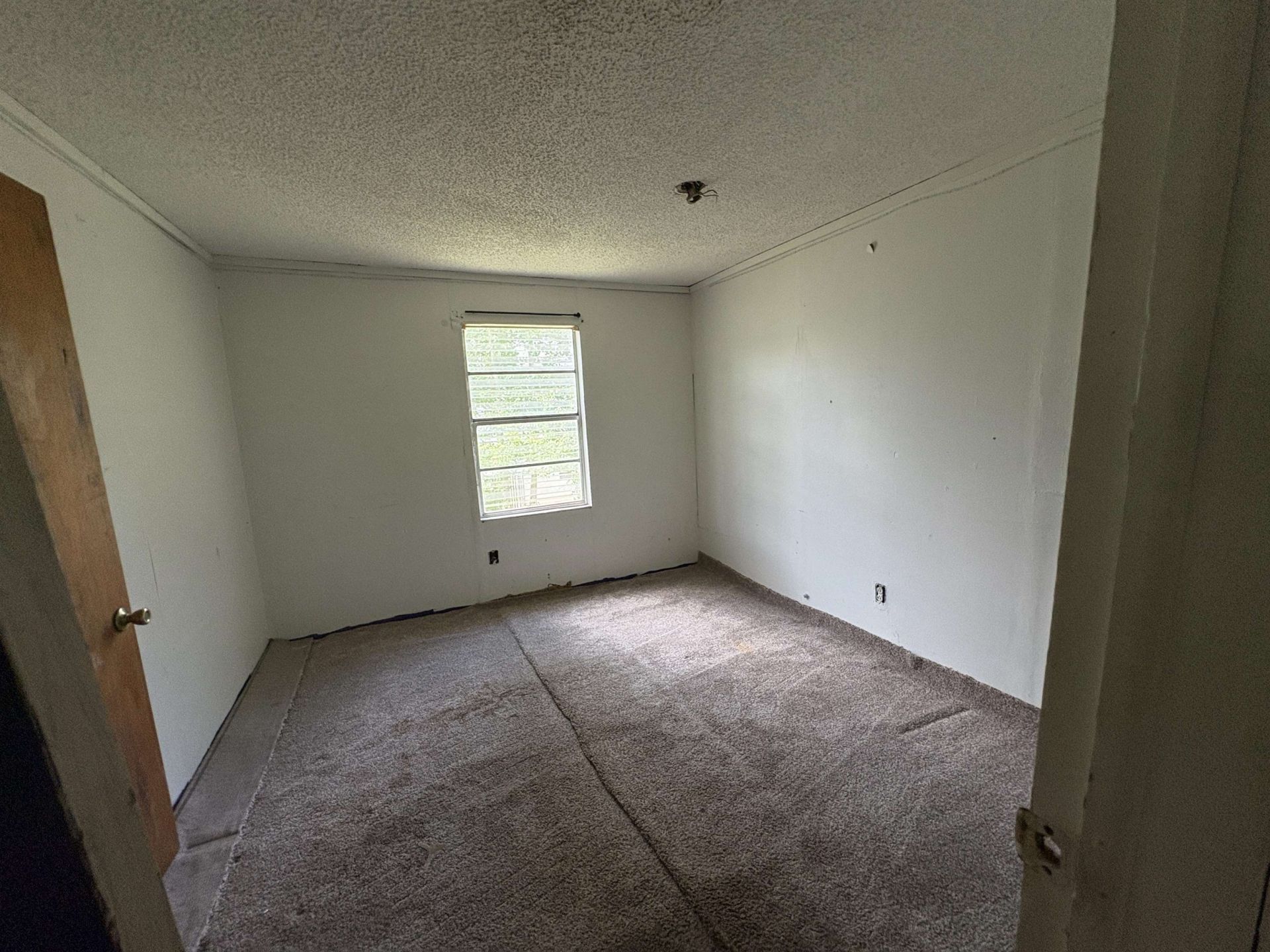 20994 SE Martin Luther King Avenue, Blountstown, FL 32424 Photo