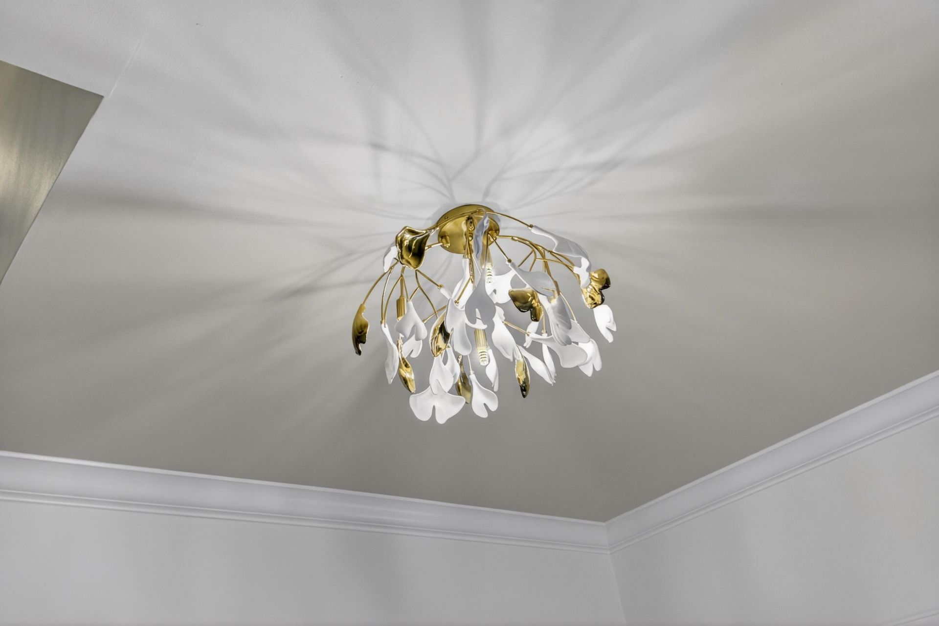 312 E Shepard Photo 15