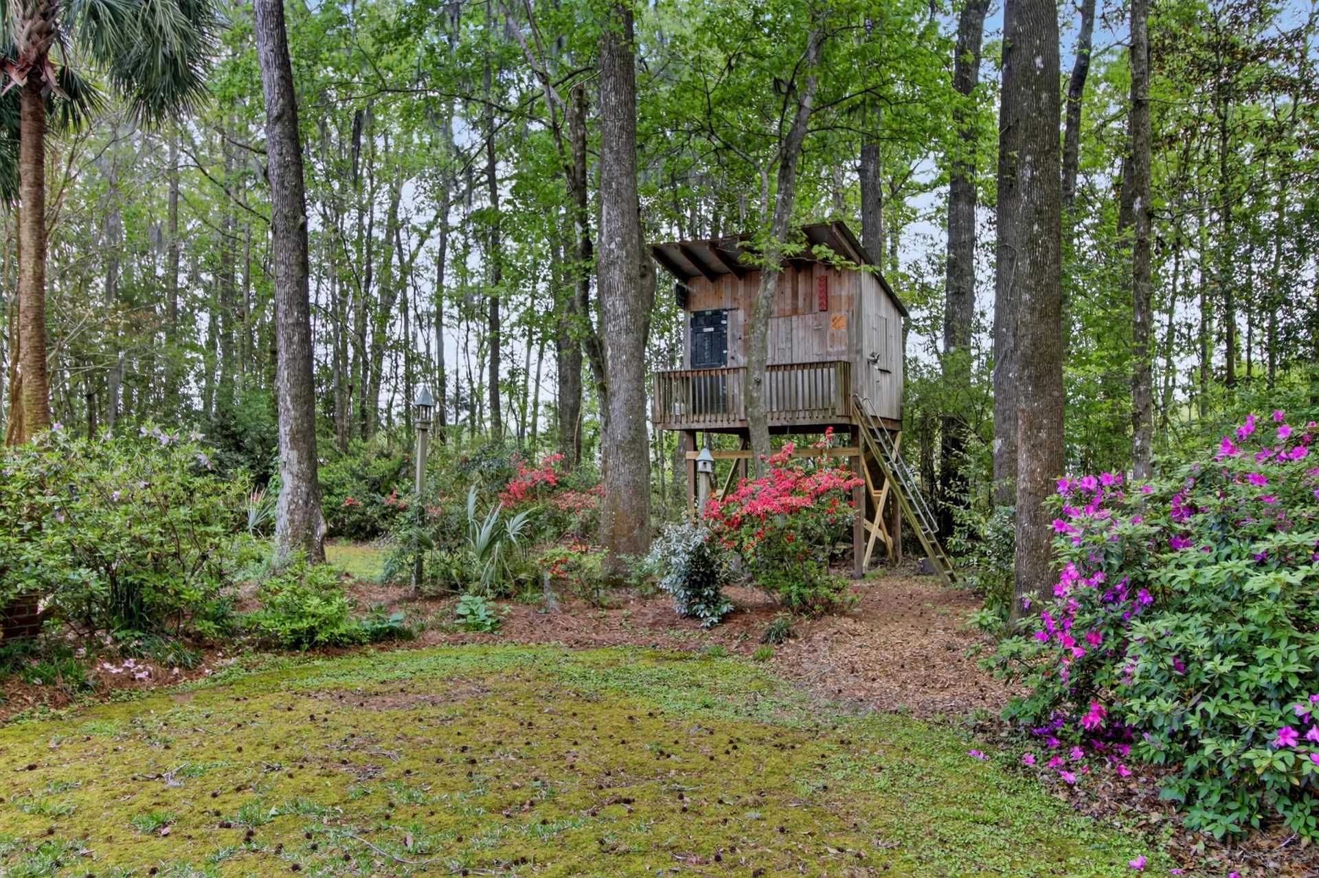 312 E Shepard Photo 60
