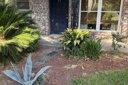 867 Colony Drive photo 4