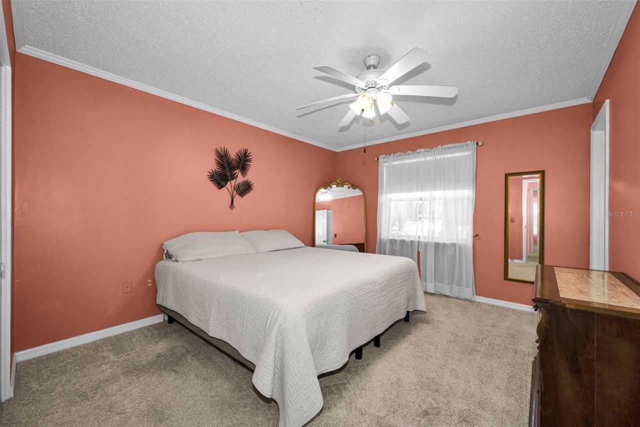 9427 Cape Charles Avenue , New Port Richey, FL 34655 Photo