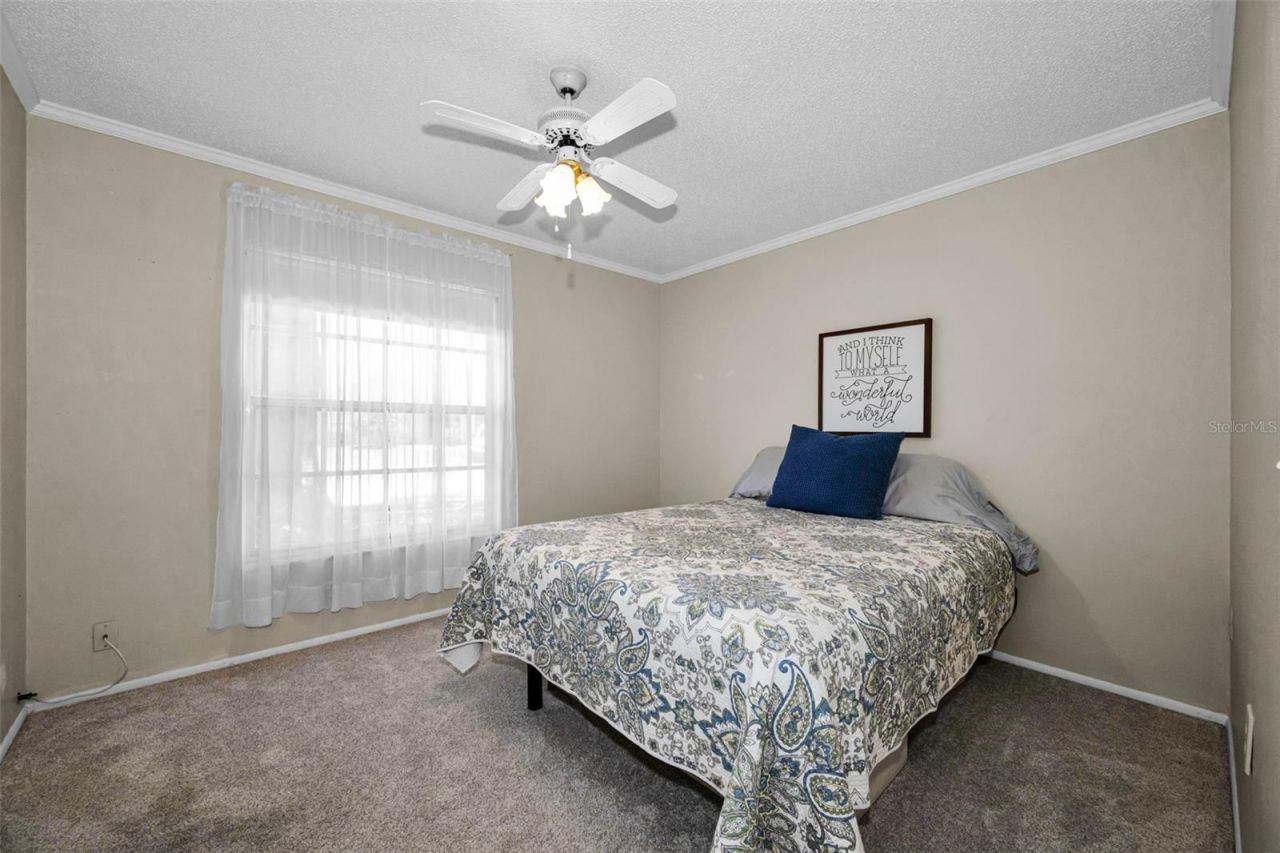 9427 Cape Charles Avenue , New Port Richey, FL 34655 Photo