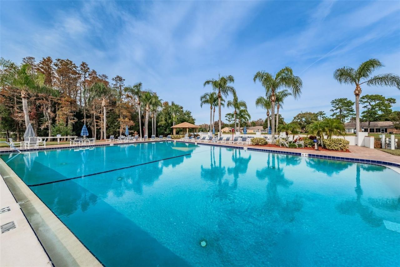 9427 Cape Charles Avenue , New Port Richey, FL 34655 Photo