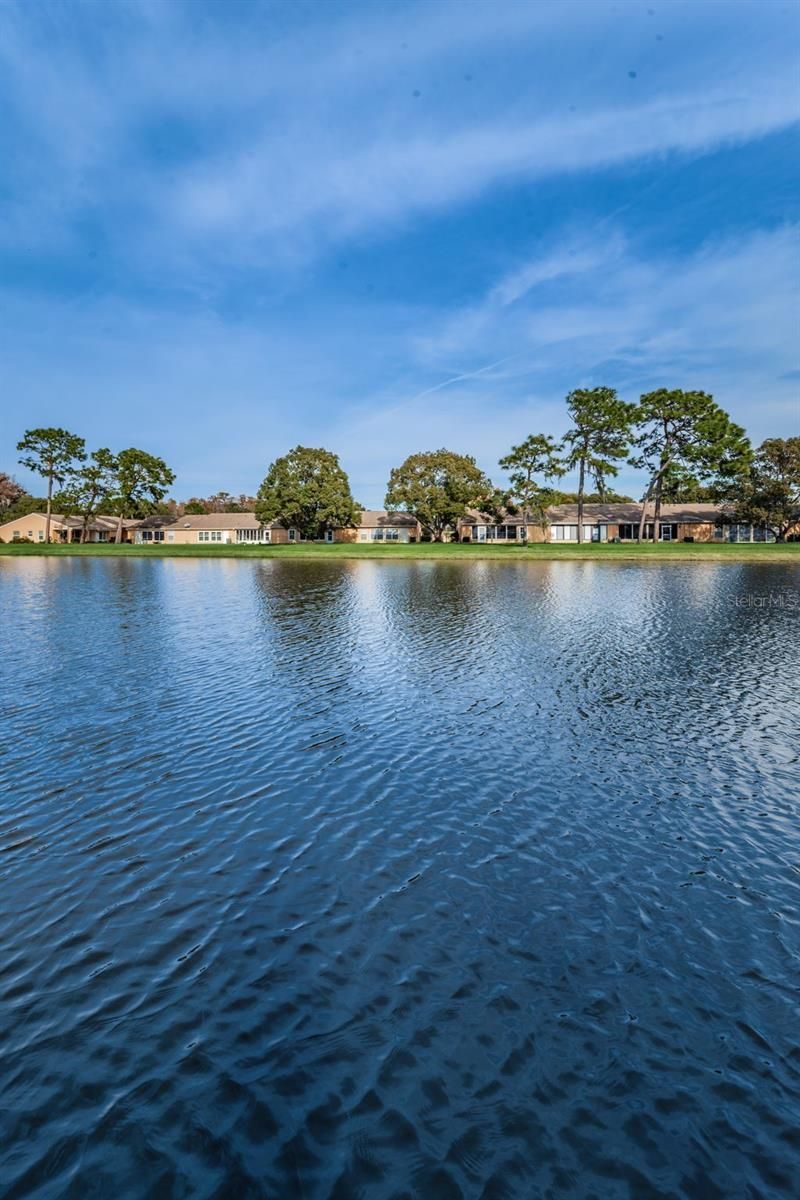 9427 Cape Charles Avenue , New Port Richey, FL 34655 Photo