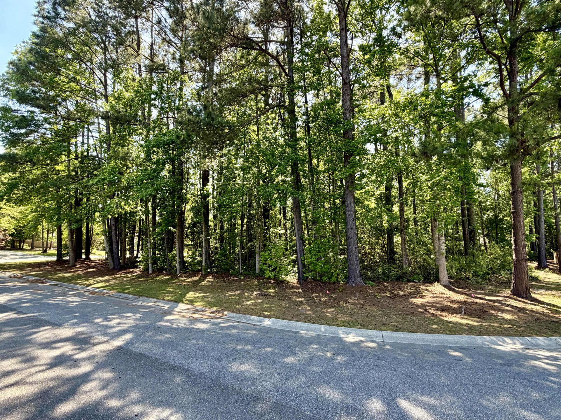 2008 Shoreside Court Photo 4