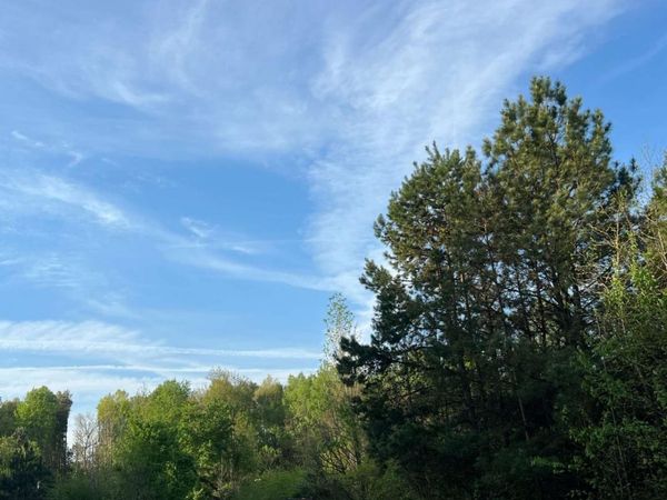 6175 Dawsonville Highway, Dawsonville, GA 30534