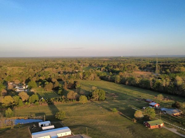 19.5 Acres County Road 337, Moulton, AL 35650