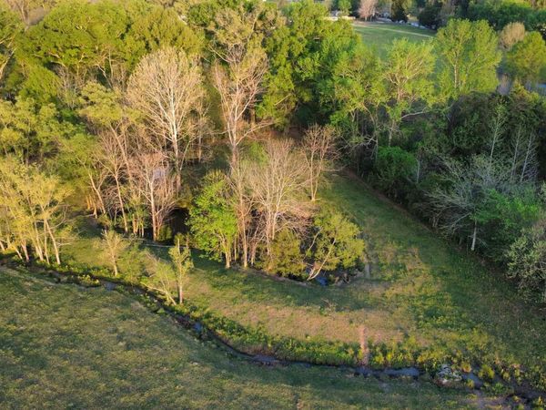 19.5 Acres County Road 337, Moulton, AL 35650