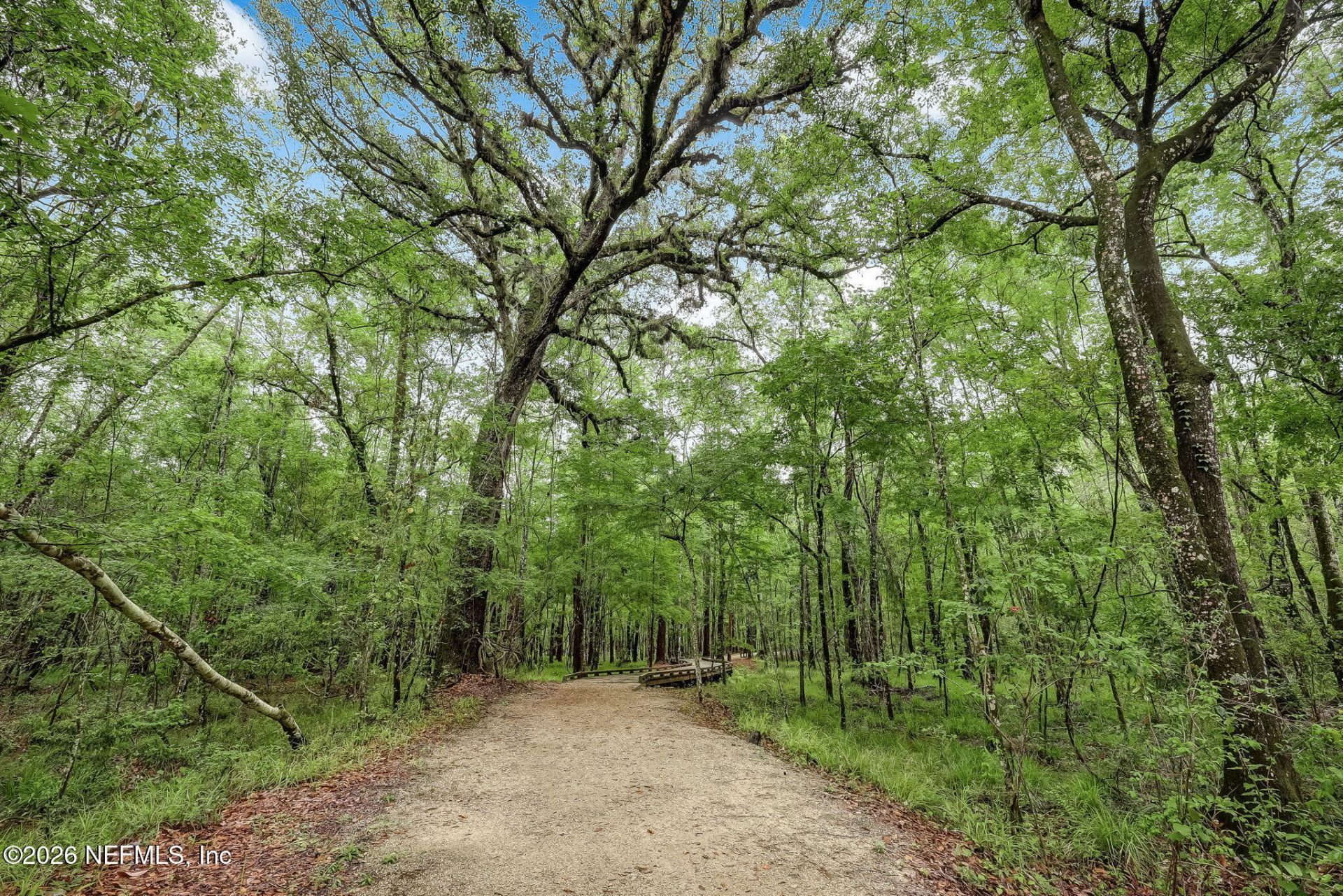 220 Rivercliff Trail, Saint Augustine, FL 32092 Photo