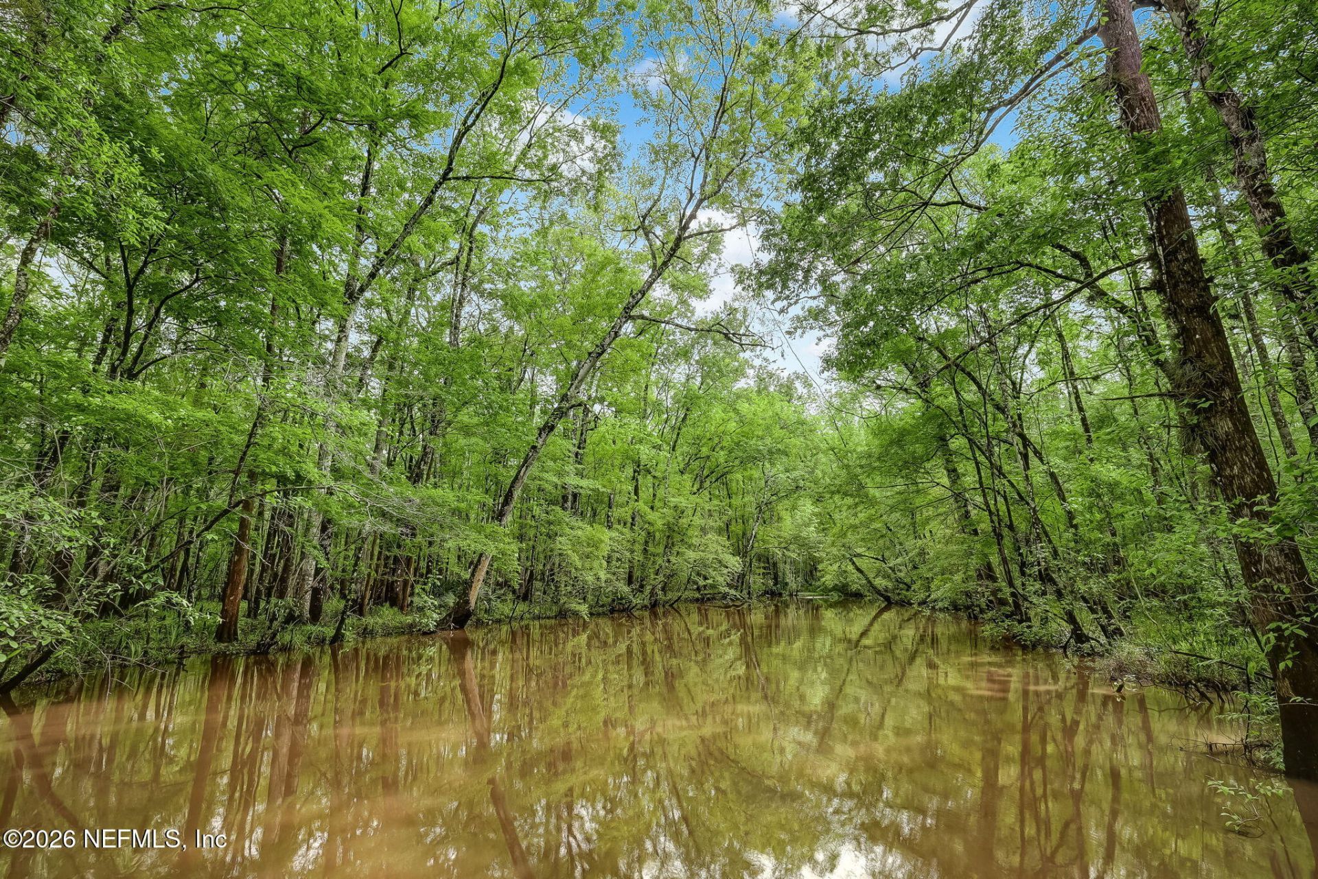 220 Rivercliff Trail, Saint Augustine, FL 32092 Photo