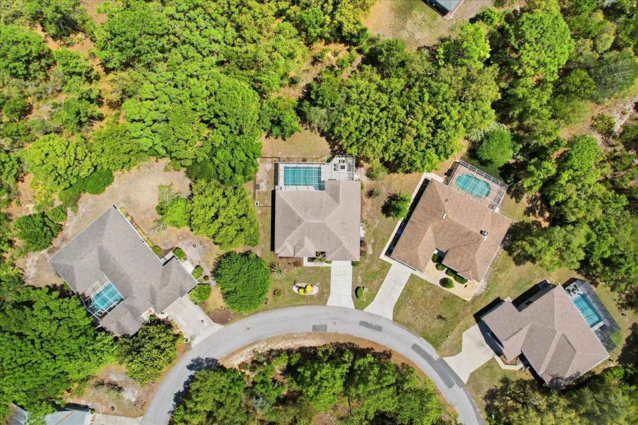 16 Calendula Court E, Homosassa, FL 34446 Photo