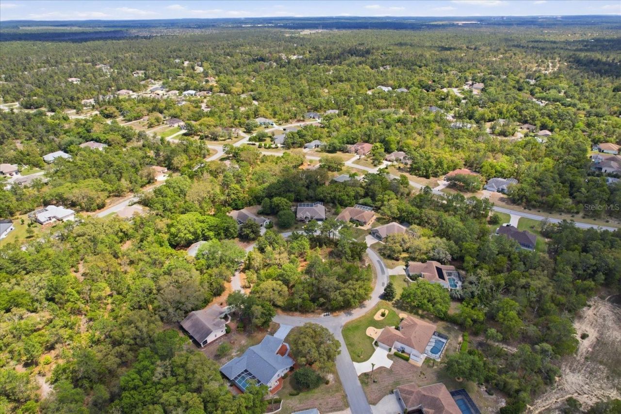 16 Calendula Court E, Homosassa, FL 34446 Photo