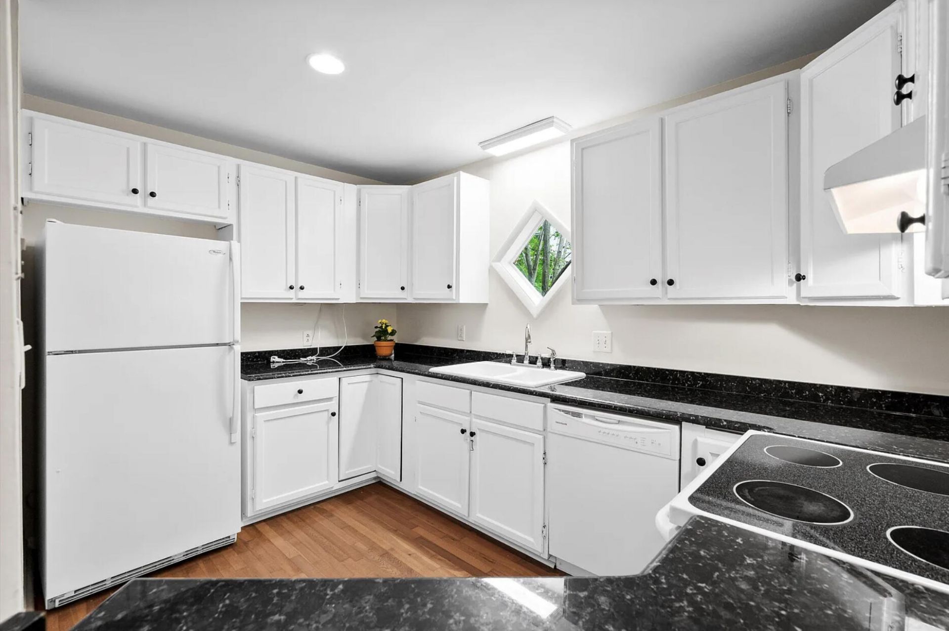 22 Ogier Street Photo 17