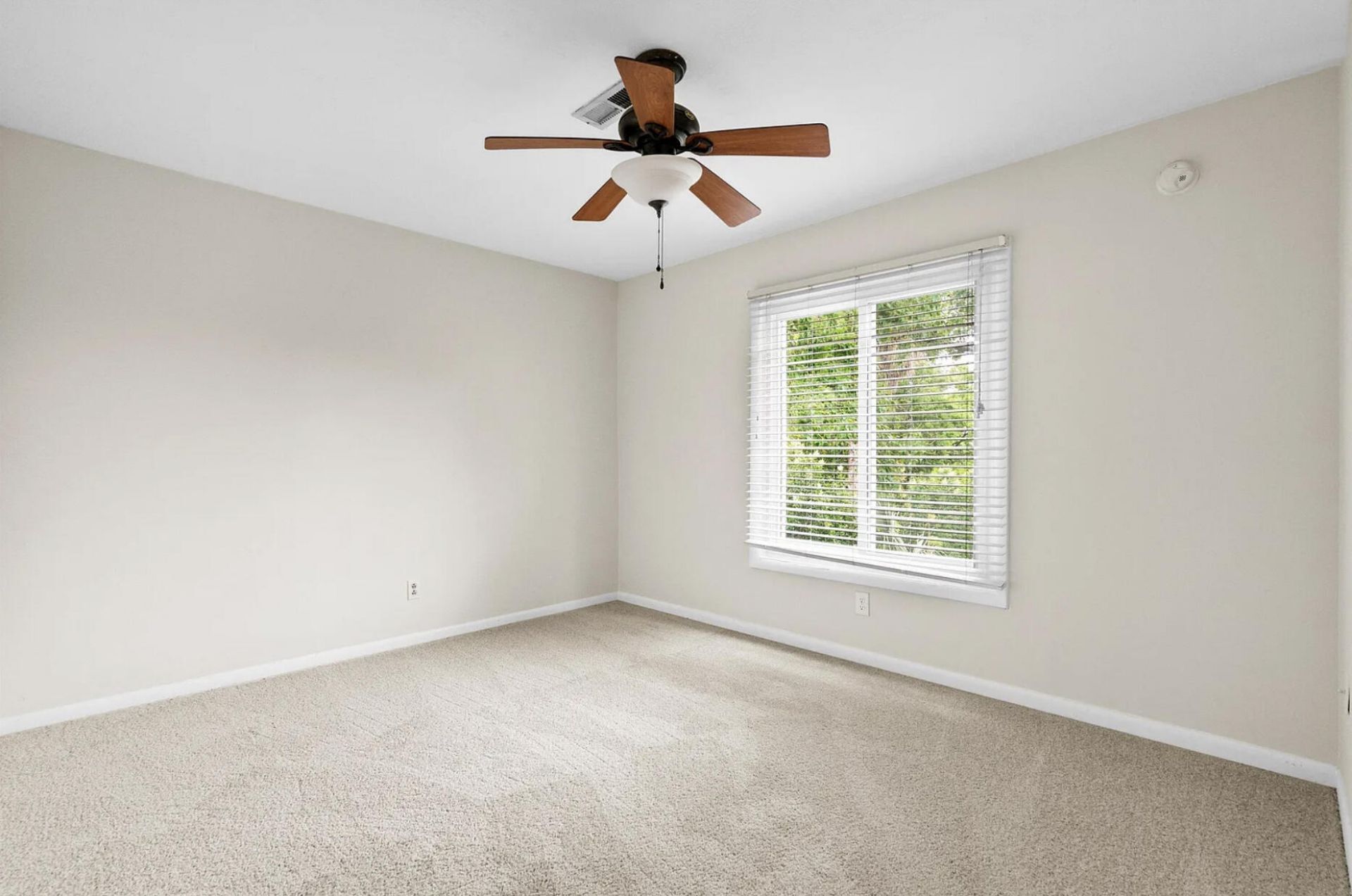 22 Ogier Street Photo 24