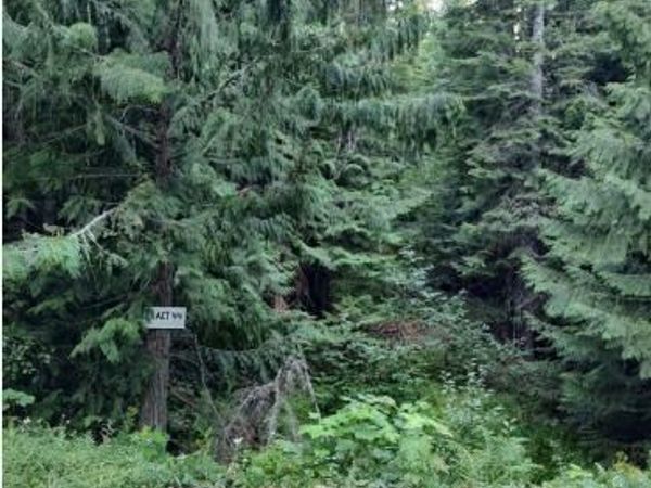 317 E Ridge RD , St. Maries, ID 83861