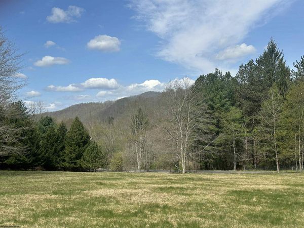 Lot 1 Bonner Mountain Road, Red Creek, WV 26263
