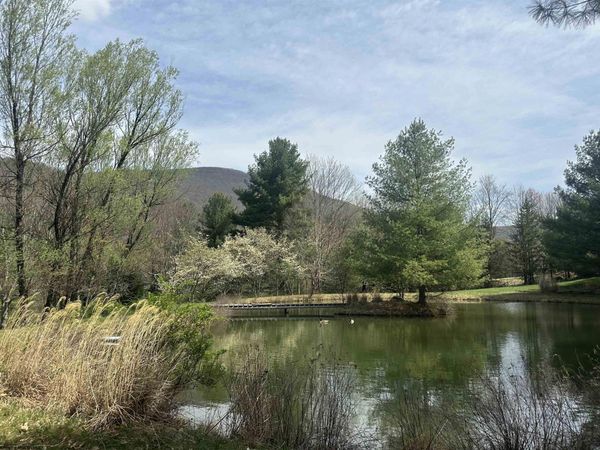 Lot 2 Bonner Mountain Road, Red Creek, WV 26263
