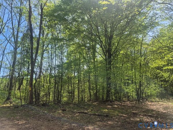 00 Greenfield Drive, Nelson, VA 24553