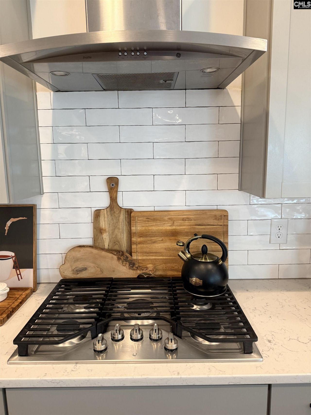 528 Montrose Drive Photo 17