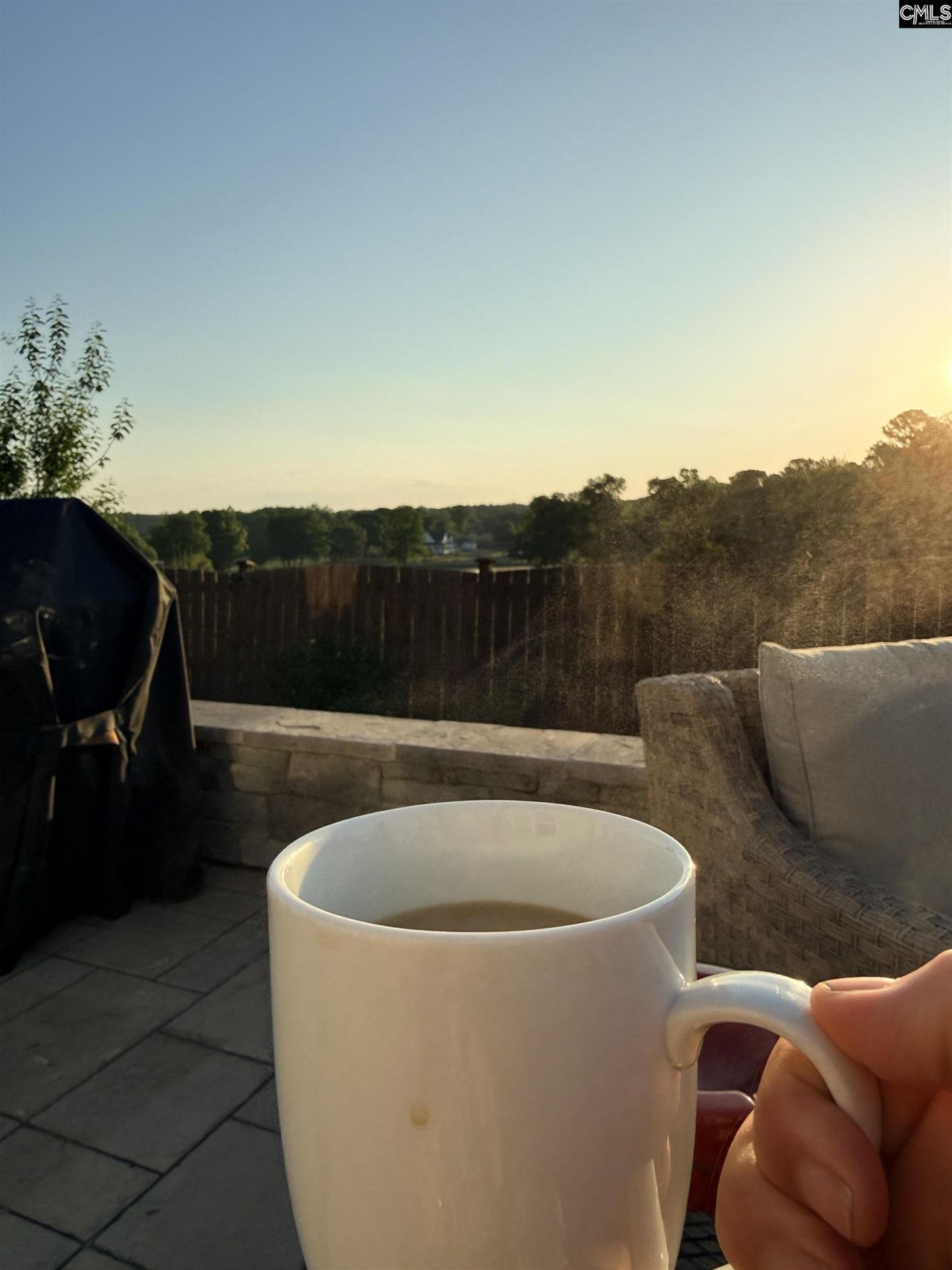 528 Montrose Drive Photo 54