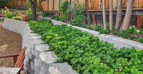 1385 Tioga Way, Reno, NV 89503 Photo